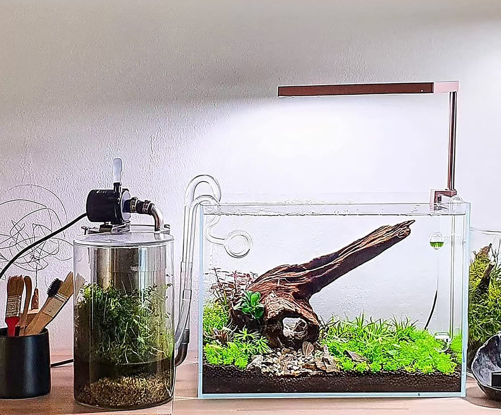 Allcolor Aquarium Glass Assembly highlights durable frameless construction for easy setup