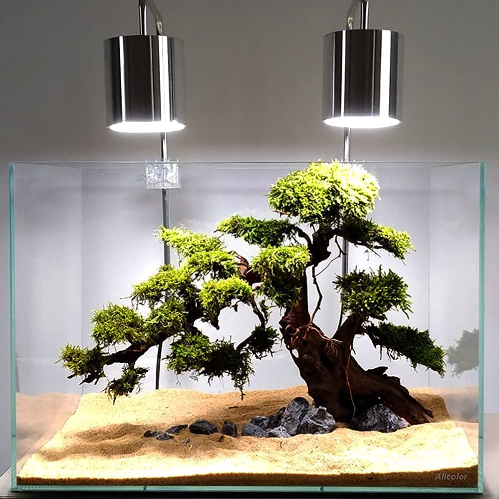 Allcolor Aquarium inspection and packaging ensures safe arrival and quality