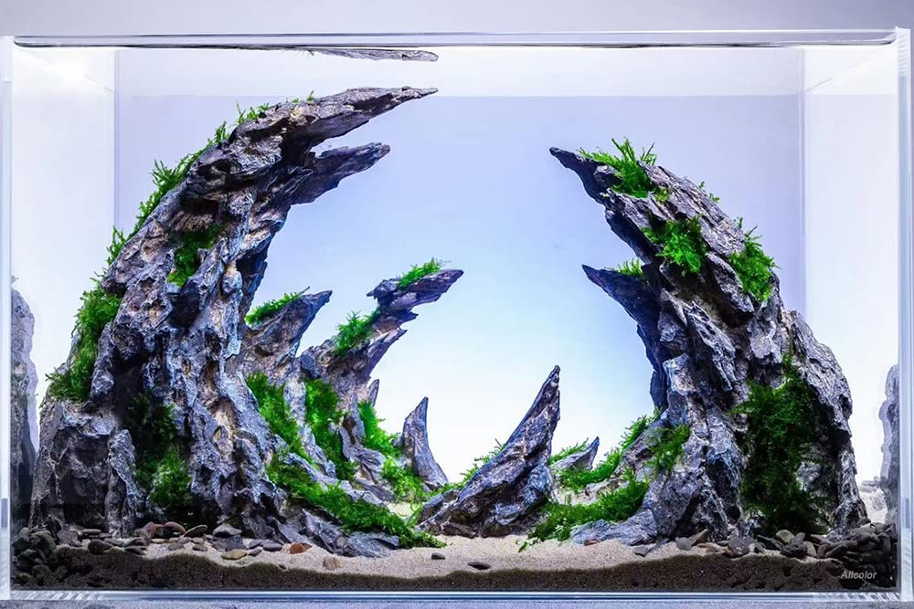 Allcolor Freshwater setup idea showcases 15-gallon tank for beginner aquarists
