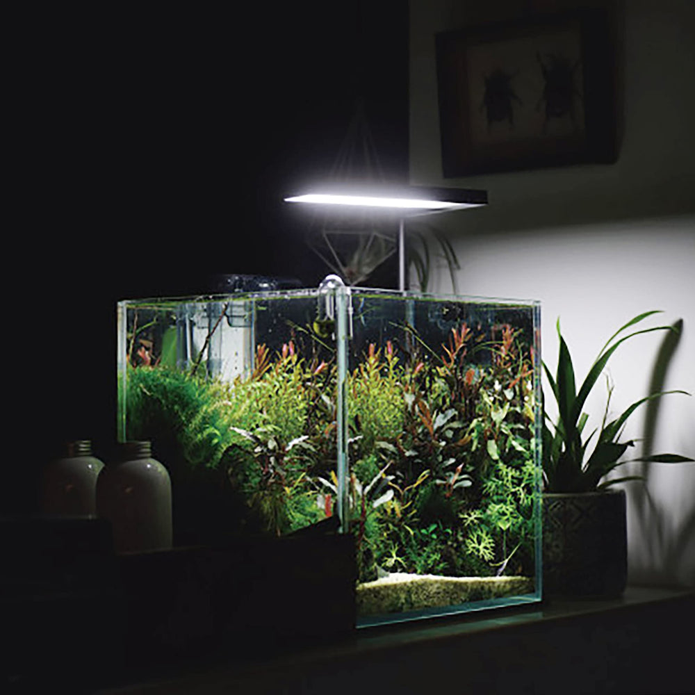 Allcolor Ultra Clear 7gal cleaning cloth included to aid maintenance and clarity.