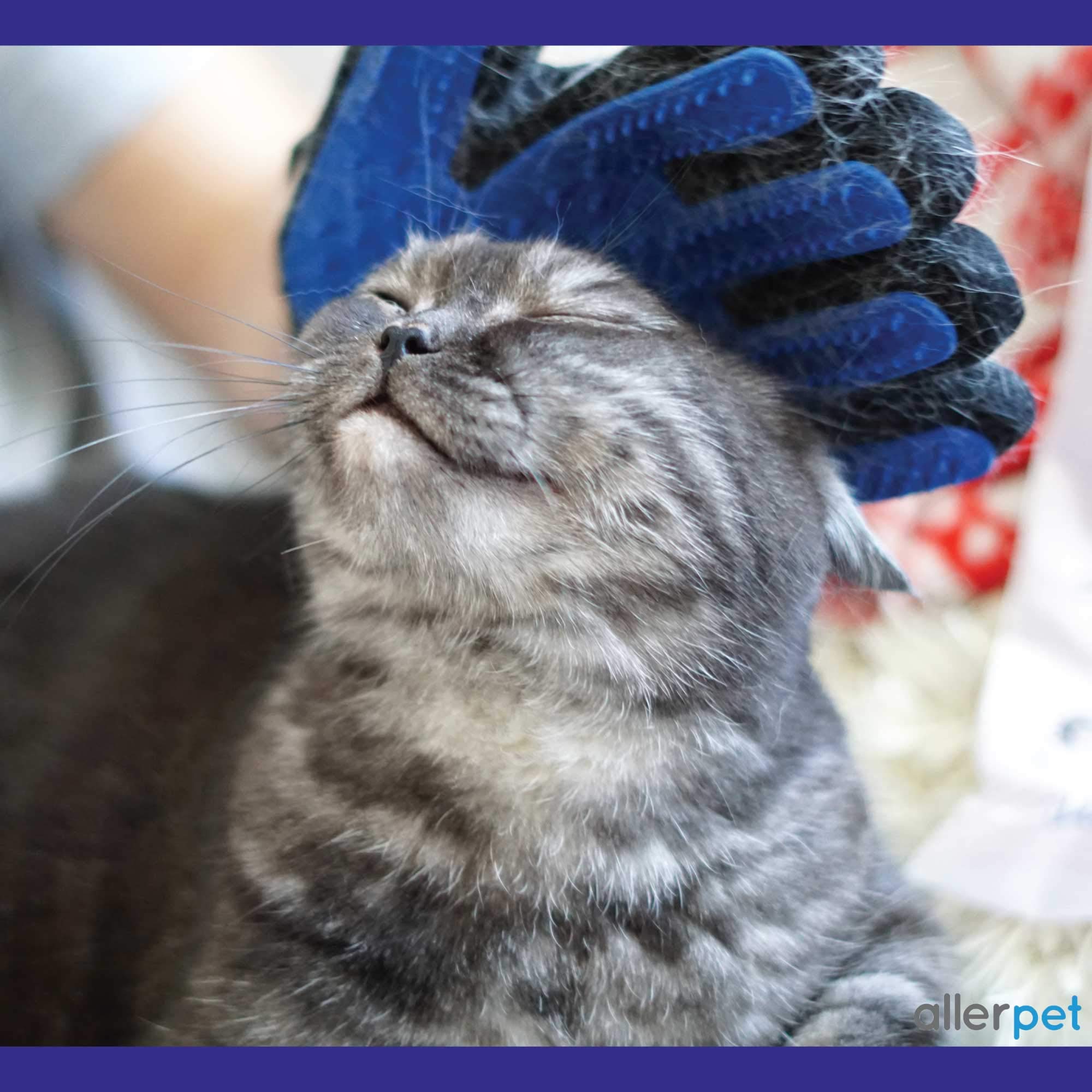 Allerpet-soft fur after use shows a smoother coat and pleasant feel