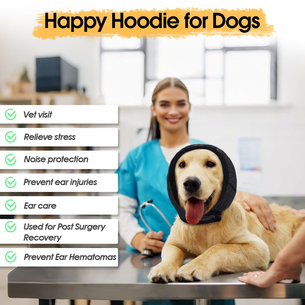 Allroaring calming hoodie on a dog during grooming sessions