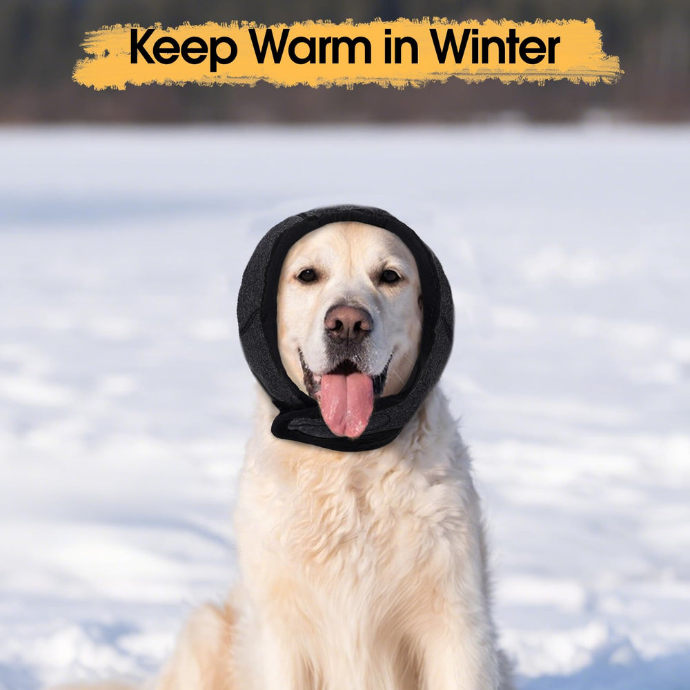 Allroaring dog ear muffs suitable for travel and vet visits