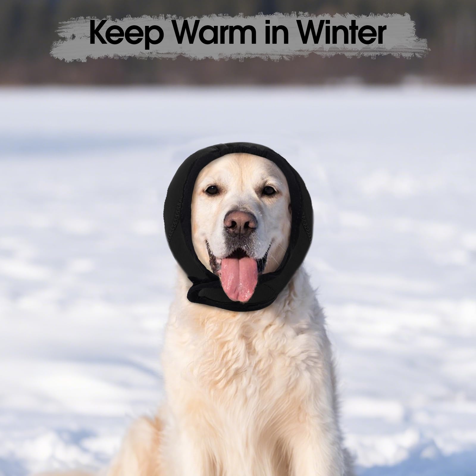 Allroaring vet-travel-ear-wraps designed to calm dogs in busy clinics and flights