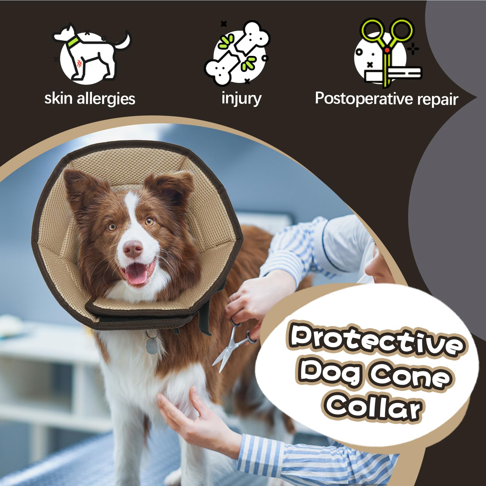Allroaring-easy-clean-cone showcases quick cleaning for busy owners.