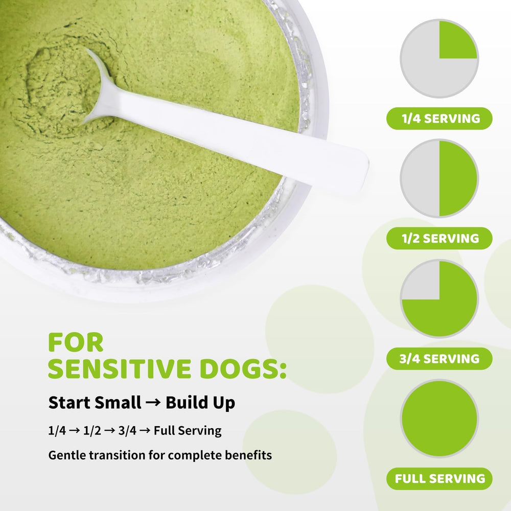 Aloevia 90-day supply presented for ongoing canine dental care routine.