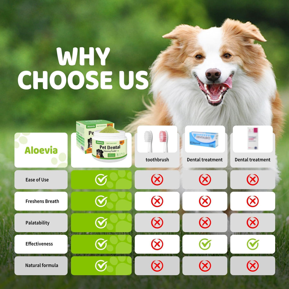 Aloevia ingredients overview emphasizing safe, premium components for dogs.