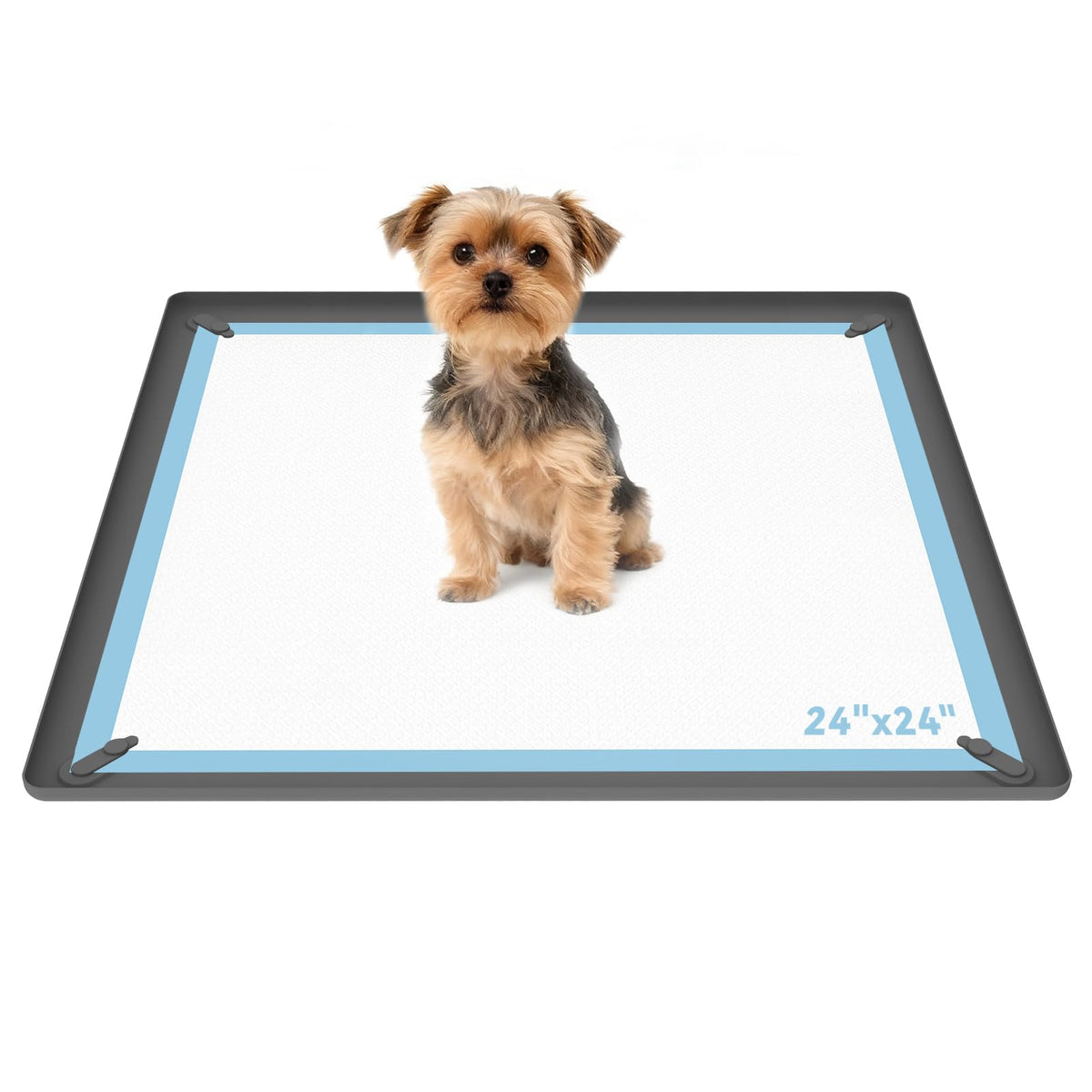 ALOOF Pee Pad Holder magnetic snaps closeup shows secure pads for wrinkle-free setup