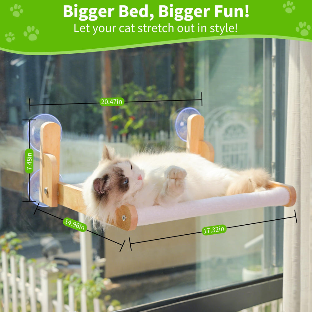 Aloxina Large-Capacity 50lbs supports big cats.