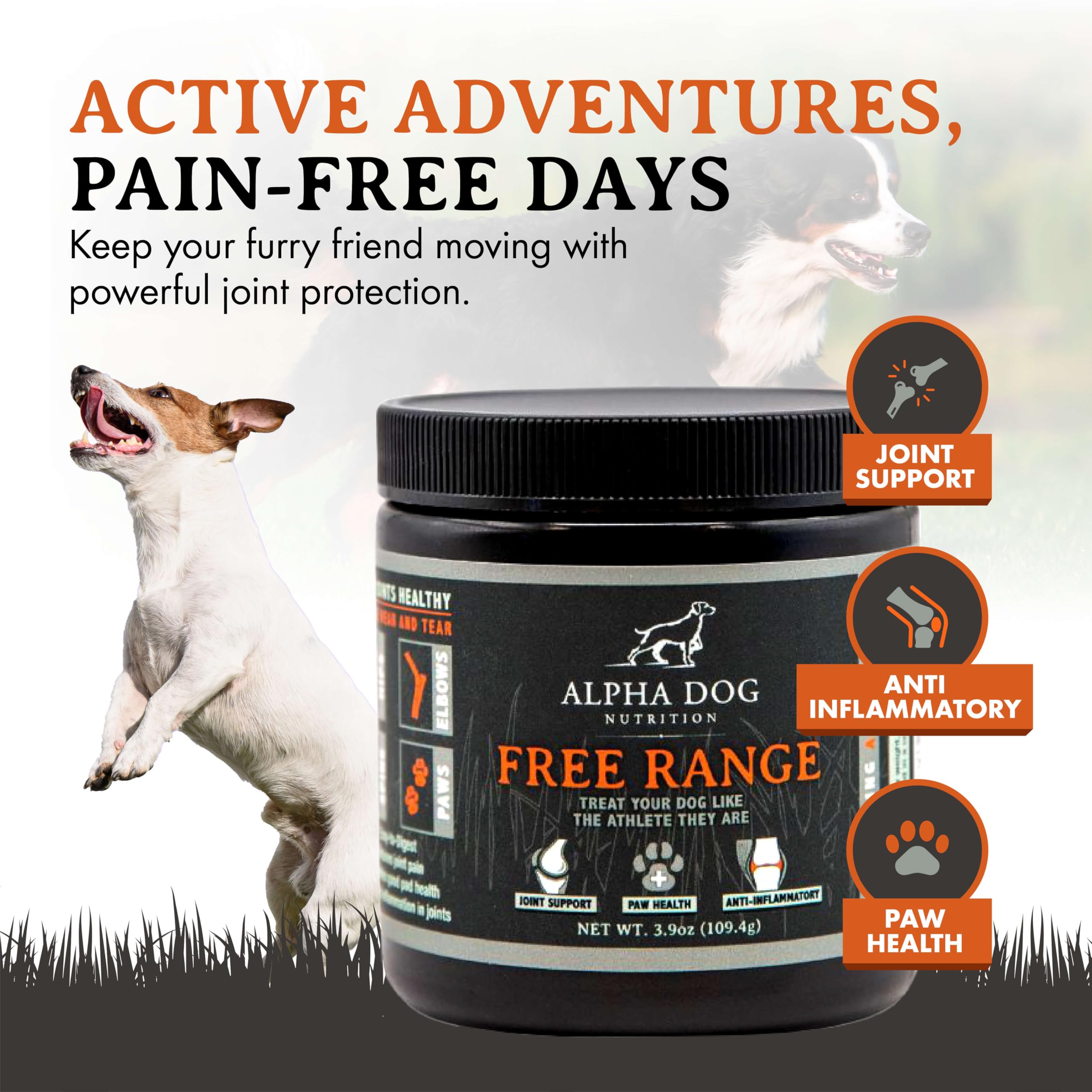 Alpha Dog Nutrition beef liver flavored powder close-up highlights flavor appeal and palatability