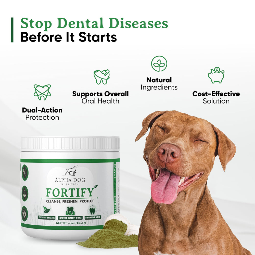 Alpha Dog Nutrition powder sprinkled over dog food for easy daily dental care
