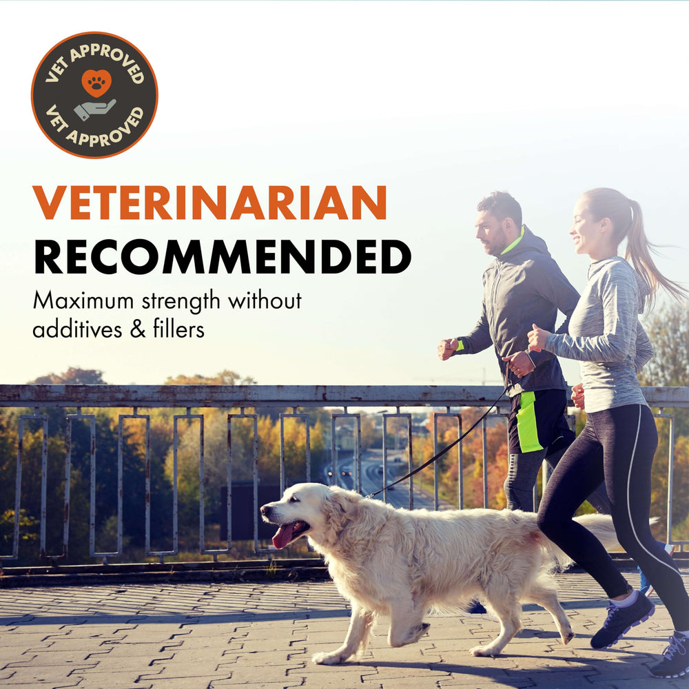 Alpha Dog Nutrition joint powder scoop demonstrates easy daily dosing for active dogs