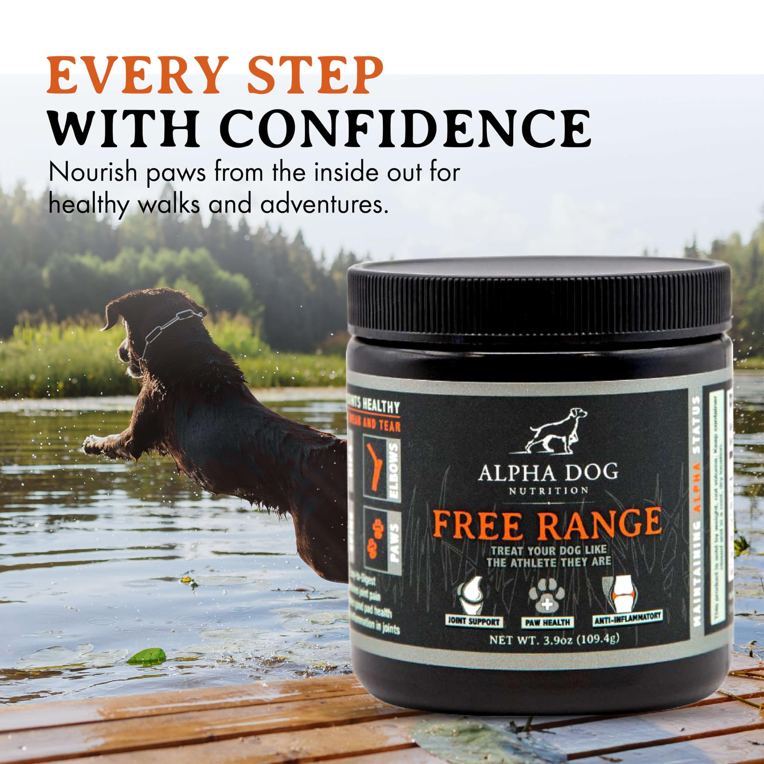Alpha Dog Nutrition dog running with joy demonstrates active lifestyle potential