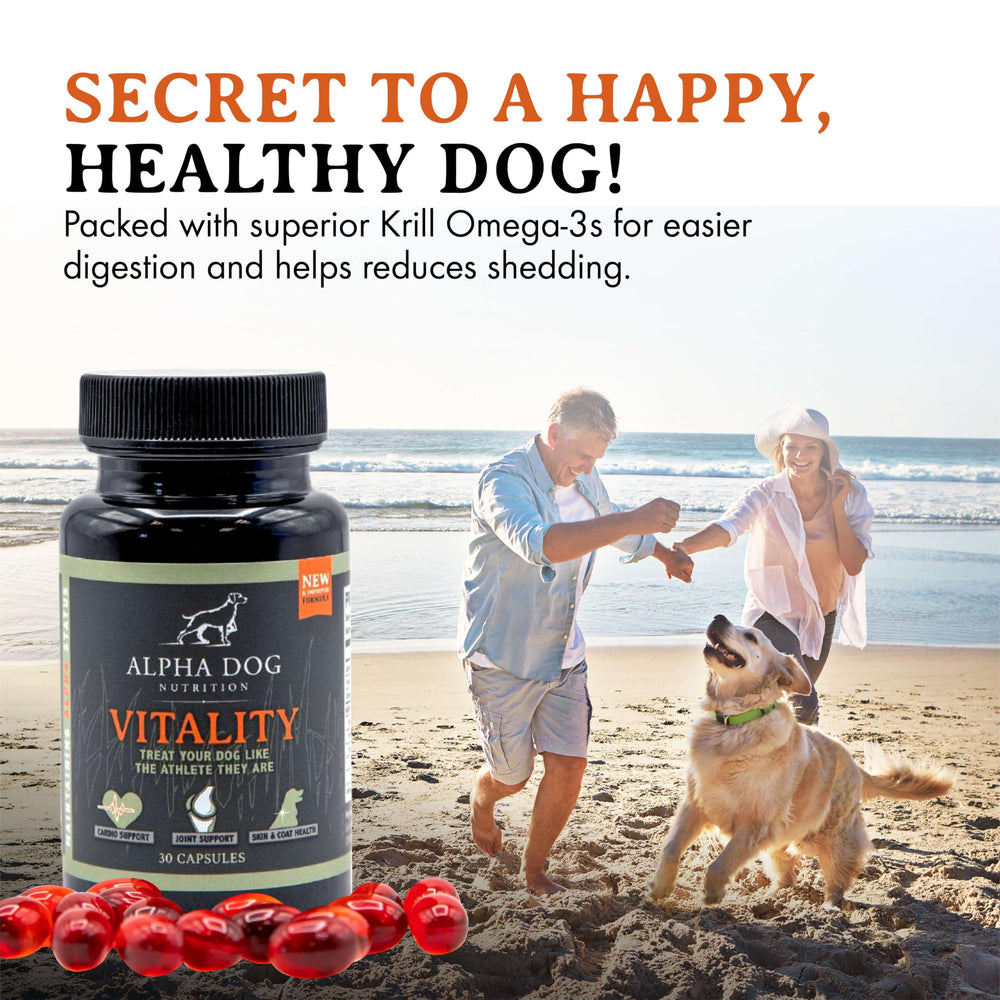 Alpha Dog Nutrition healthy coat and skin visual implying shinier fur and comfort