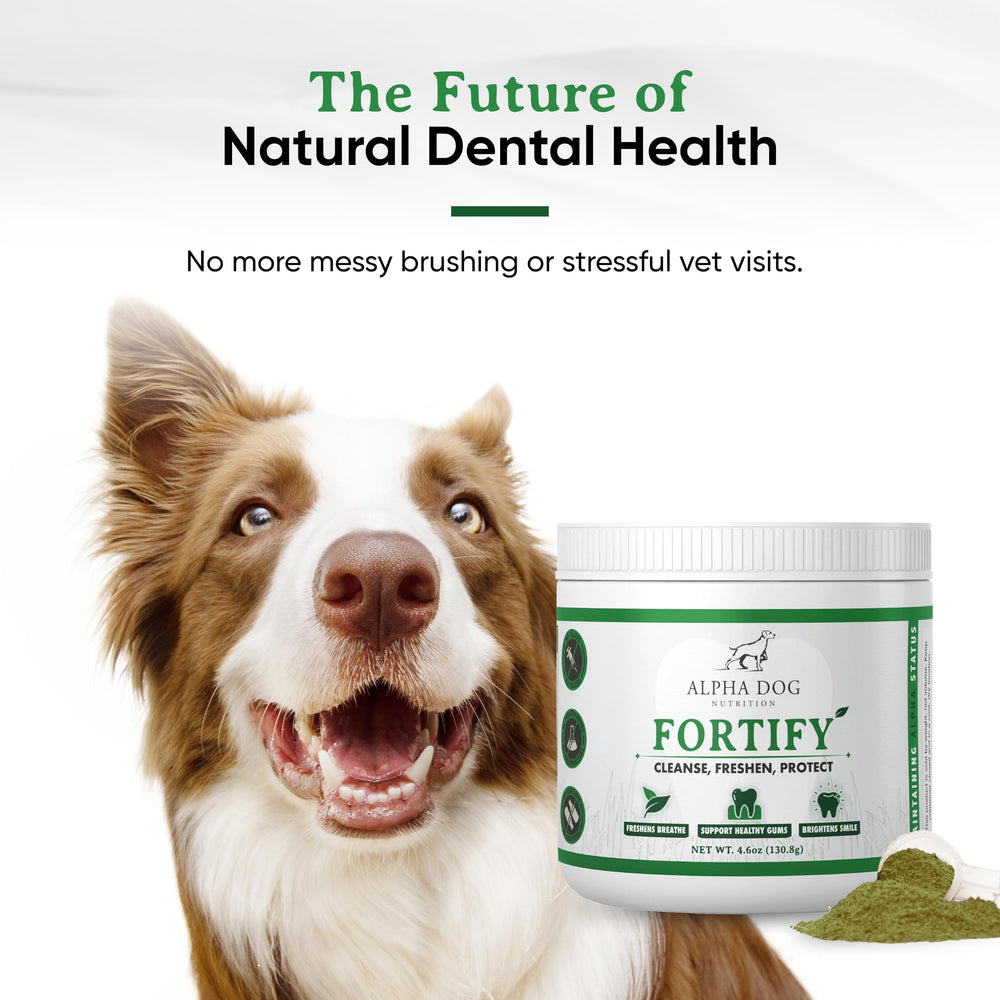 Alpha Dog Nutrition vet-recommendation seal boosts credibility for dental powder