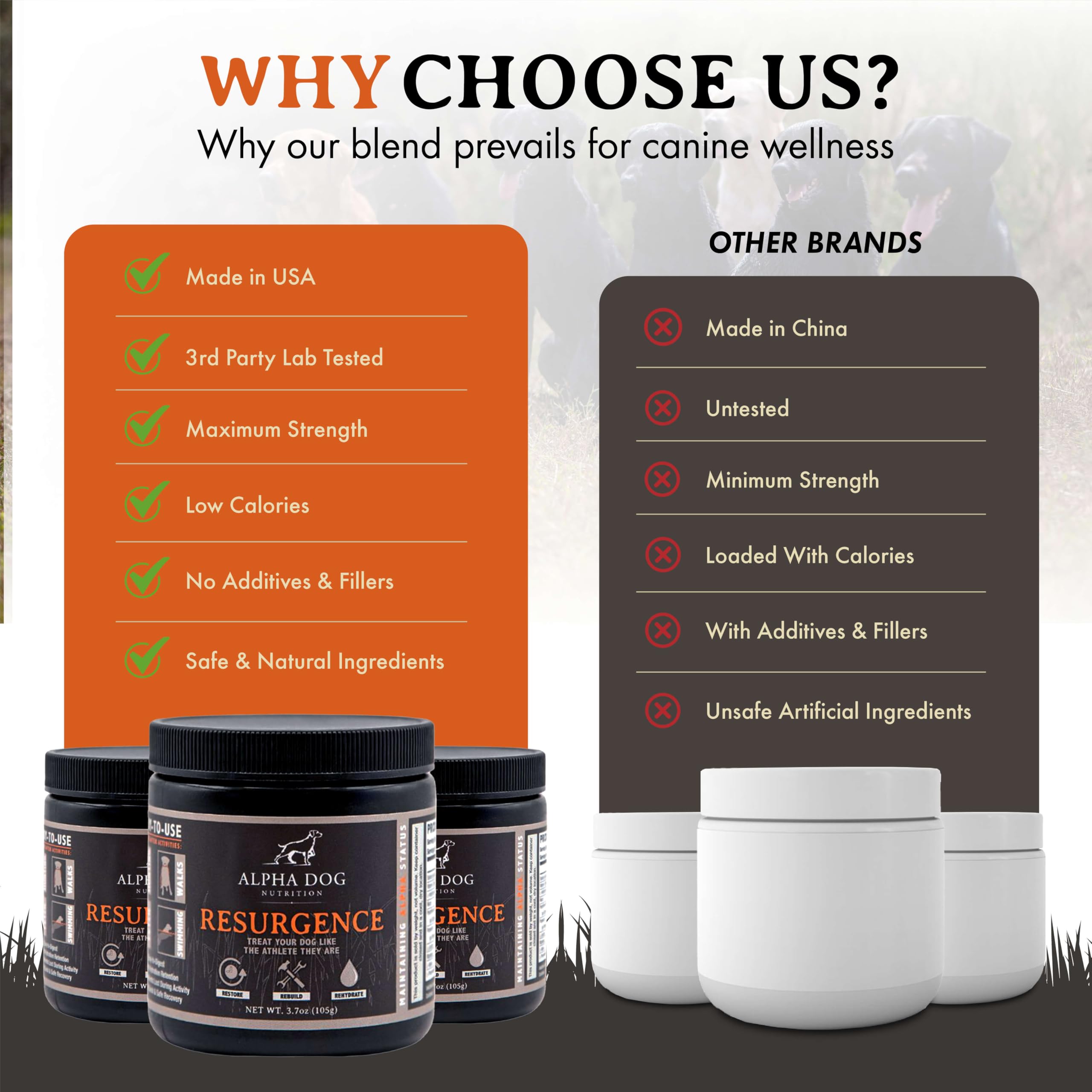 Alpha Dog Nutrition Resurgence beef-flavored electrolyte boost for dogs
