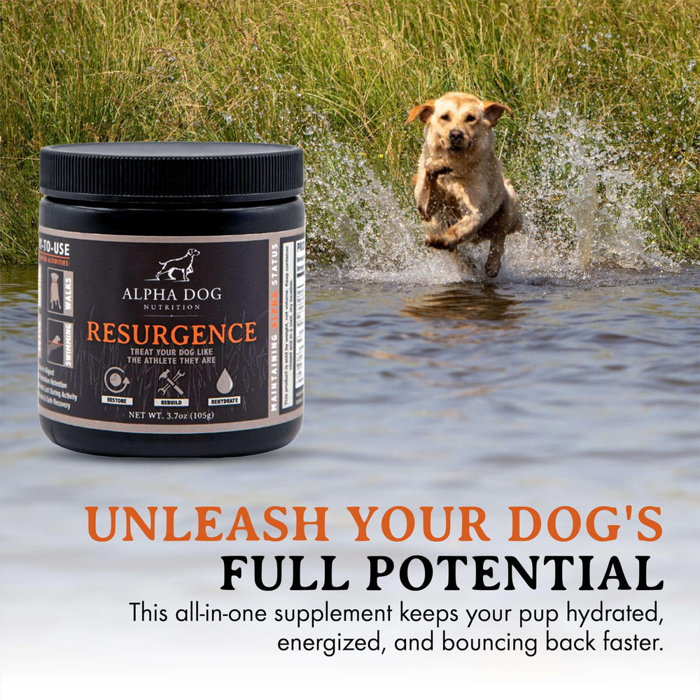 Alpha Dog Nutrition Resurgence mixing in water for fast hydration