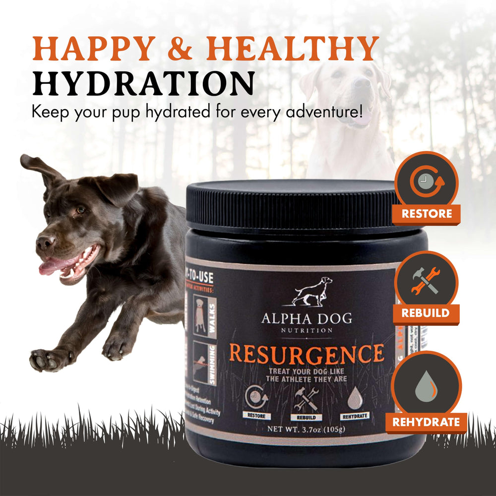 Alpha Dog Nutrition Resurgence pour shot showing quick hydration mix
