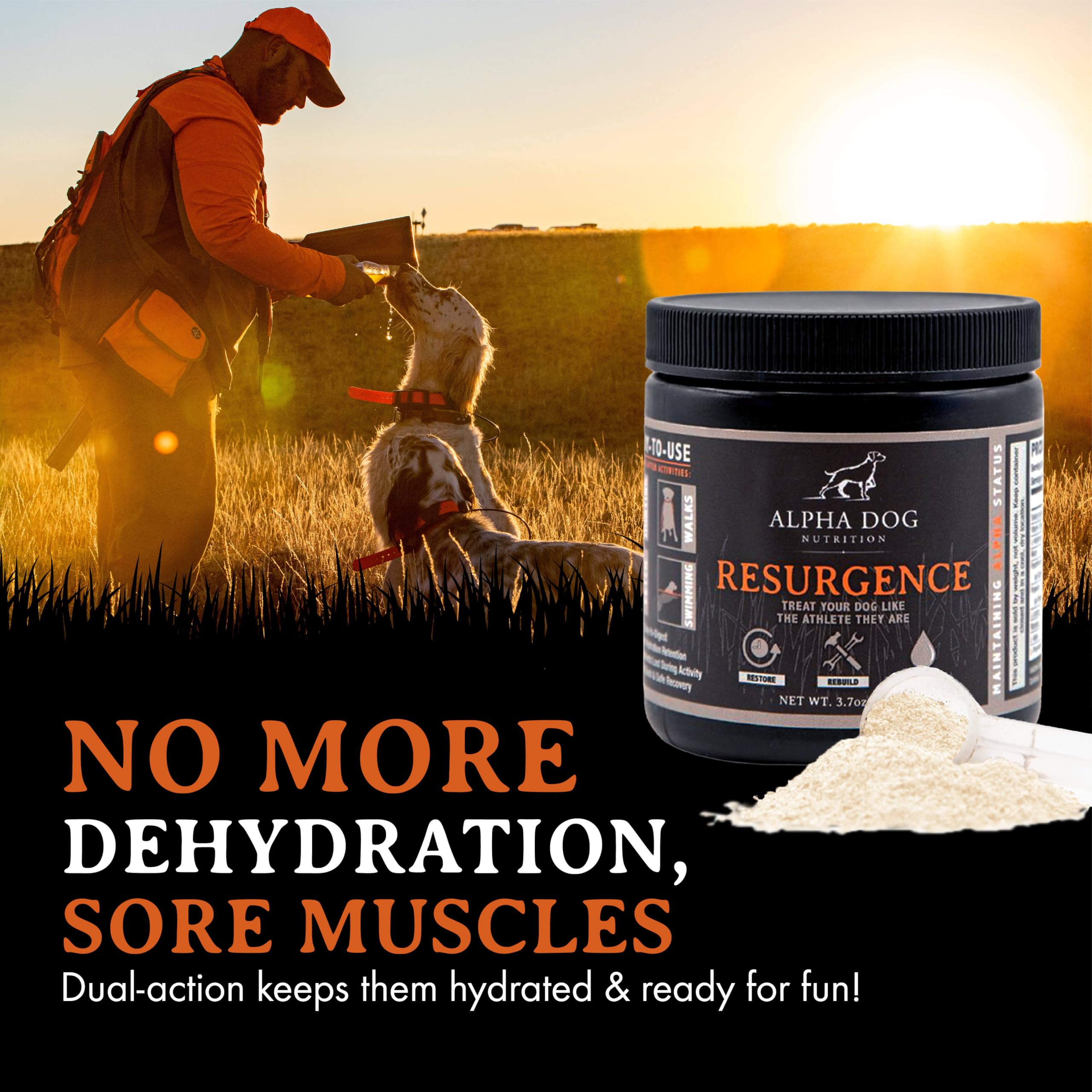 Alpha Dog Nutrition Resurgence recovery moment after activity