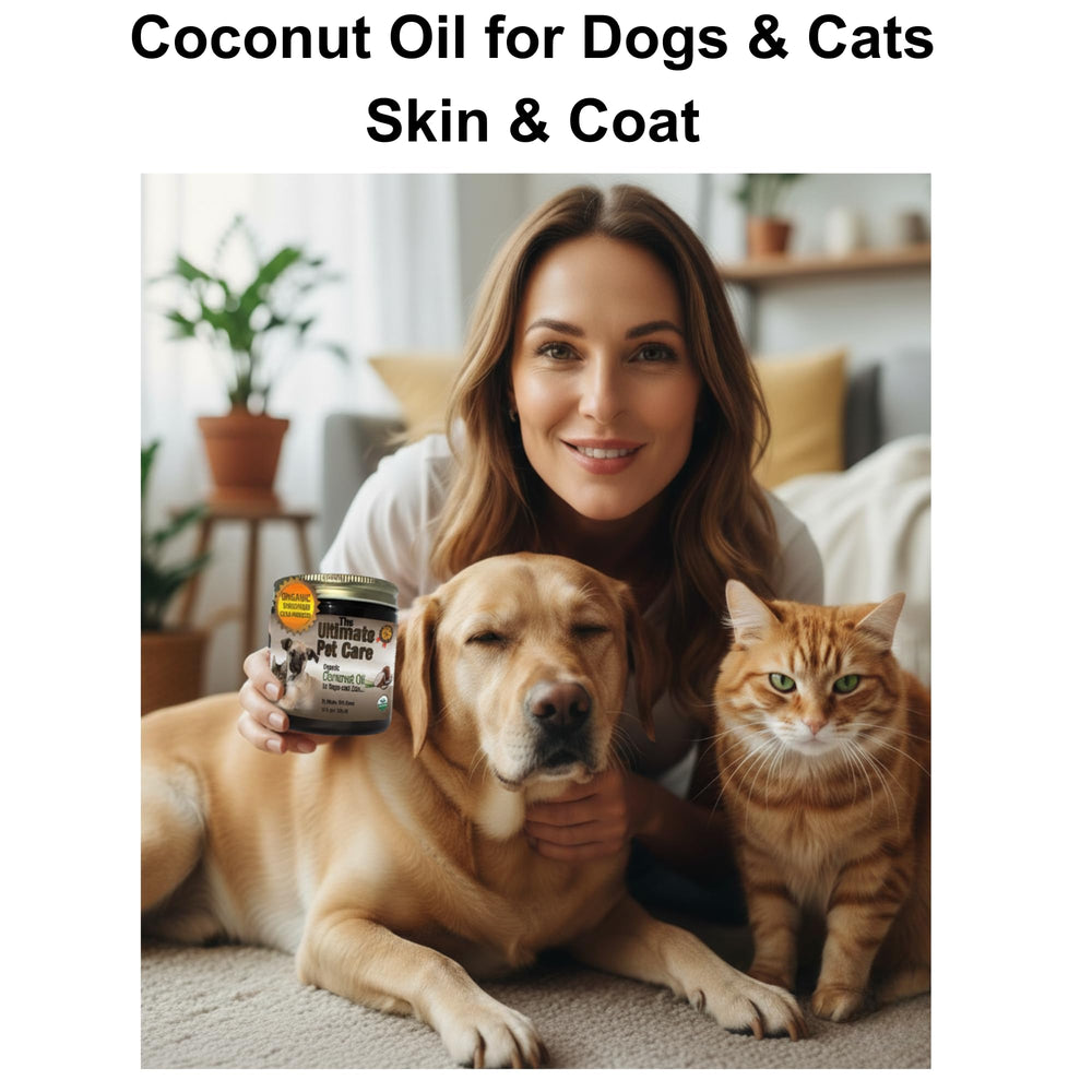 ALPHA PET ZONE coconut oil paw application supports dry paw care and coat nourishment