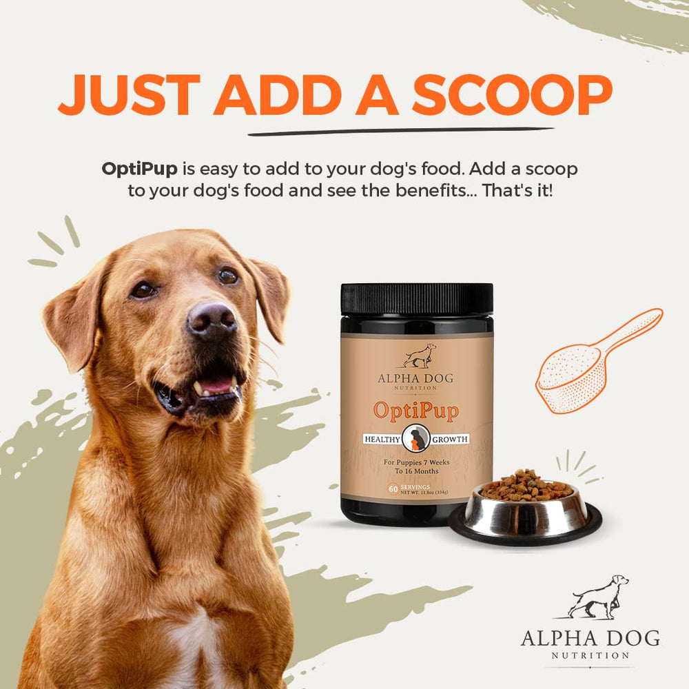 Alpha Dog Nutrition OptiPup puppy digestive-blend image emphasizes gut health support.