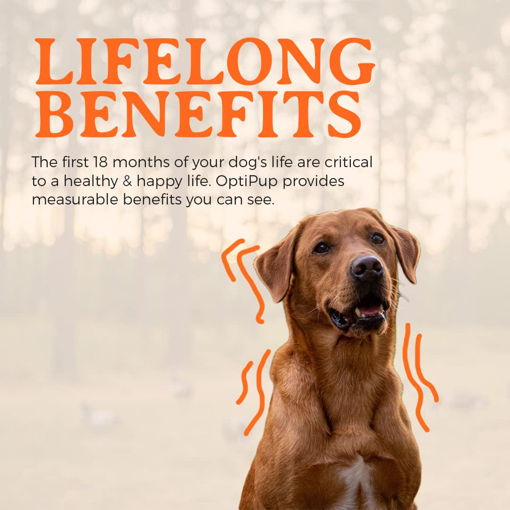 Alpha Dog Nutrition OptiPup skin-coat-shine portrait focuses on omega-3 benefits for coat.