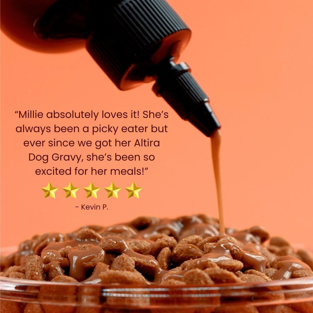 Altira Everyday Dog Gravy Beef over kibble highlights savory beef flavor.