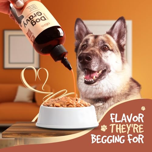Altira Everyday Dog Gravy bowl serving ready for mealtime.