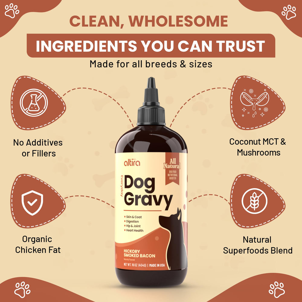 Altira Everyday Dog Gravy joint health focus with glucosamine and MSM.