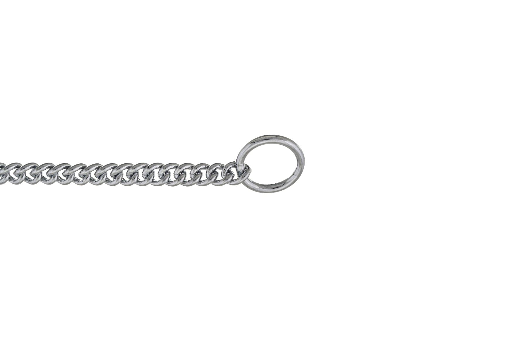 Alvalley slip-curve show collar chrome closeup—rust-free durability for long-term use.