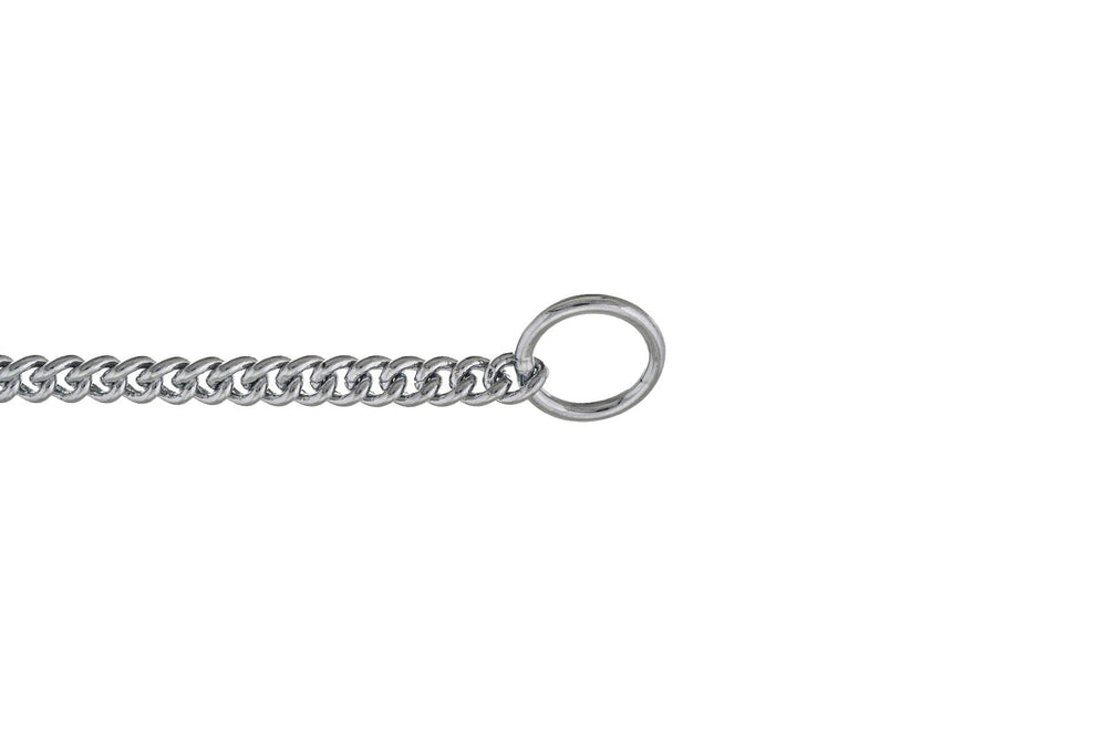 Alvalley slip-curve show collar chrome closeup—rust-free durability for long-term use.