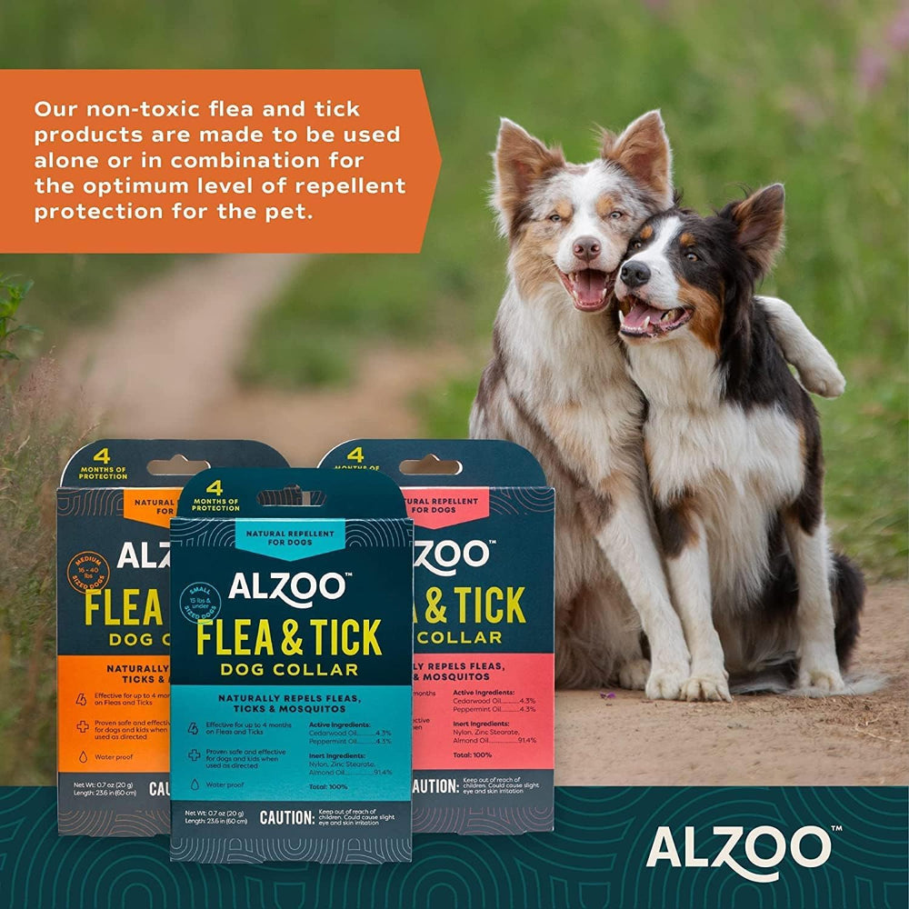 ALZOO collar on a medium dog 16-40 lbs demonstrating comfortable fit.