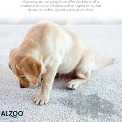 Dilution in a 32 oz spray bottle enables versatile surface cleaning with ALZOO.