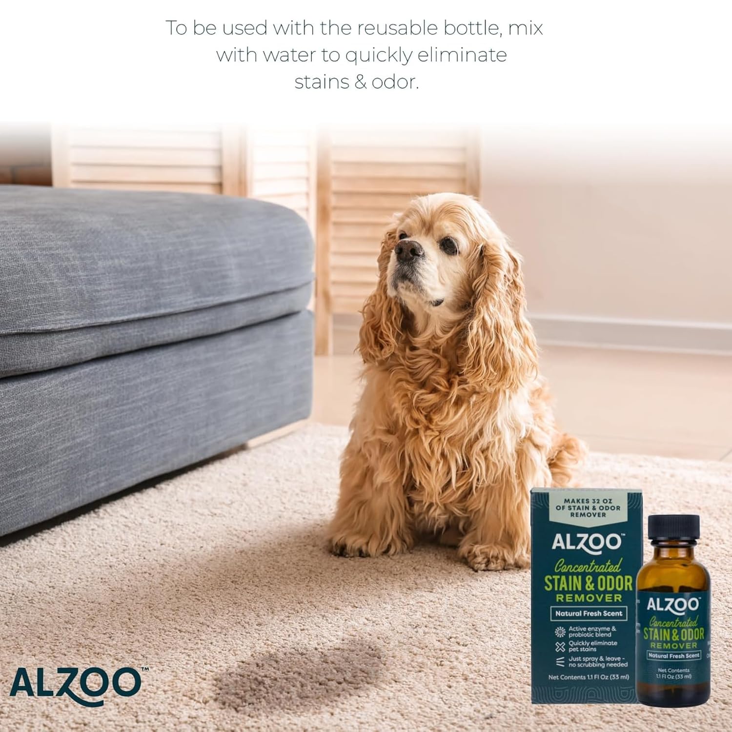 Pet-safe, plant-based ingredients label emphasizes family-friendly cleaning.