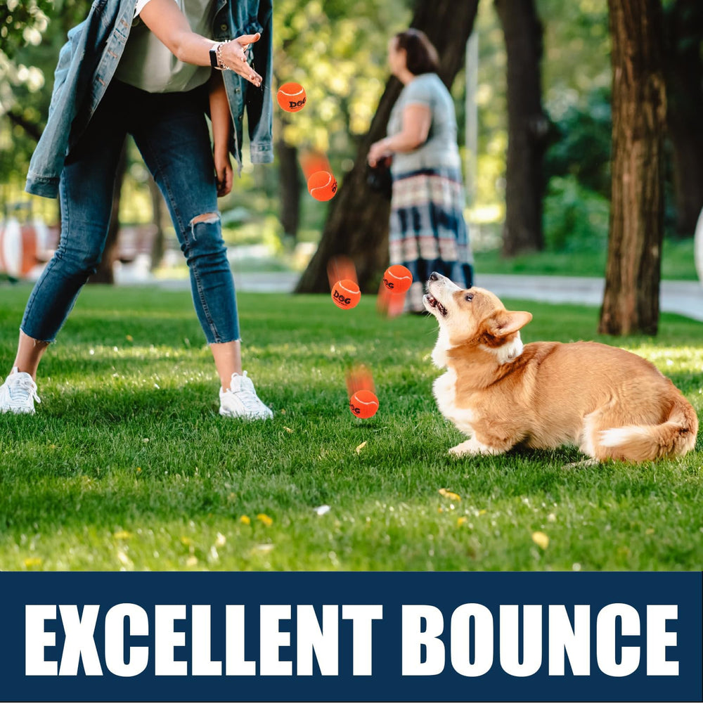 AMA SPORT dog-tennis-balls with-unique-bounce for mid-air catching and training.