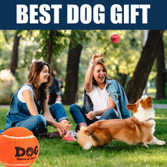 AMA SPORT dog tennis balls used for fetch training with controlled bounce.