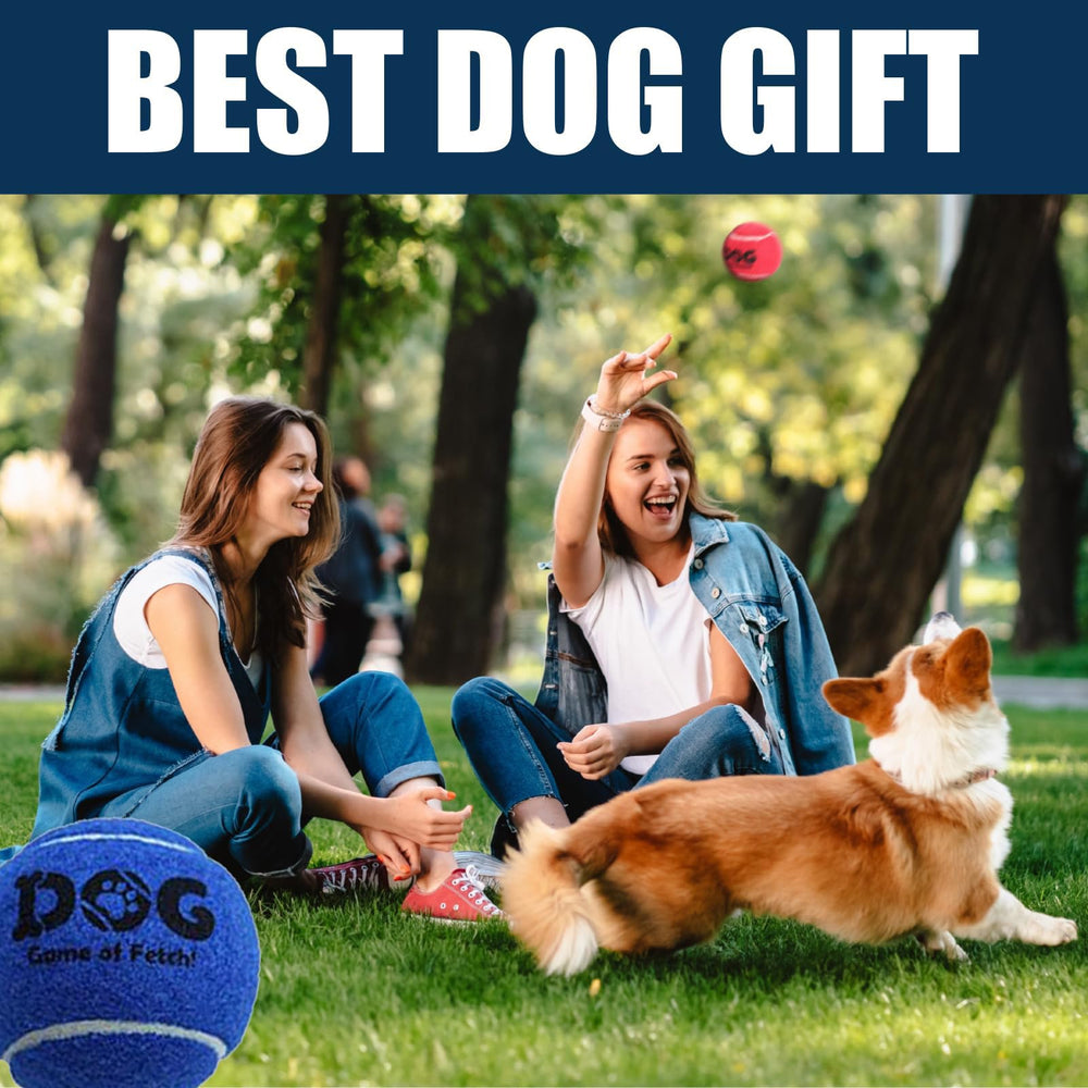 AMA SPORT natural-rubber-dog-tennis-ball durable toy for long-lasting backyard games.