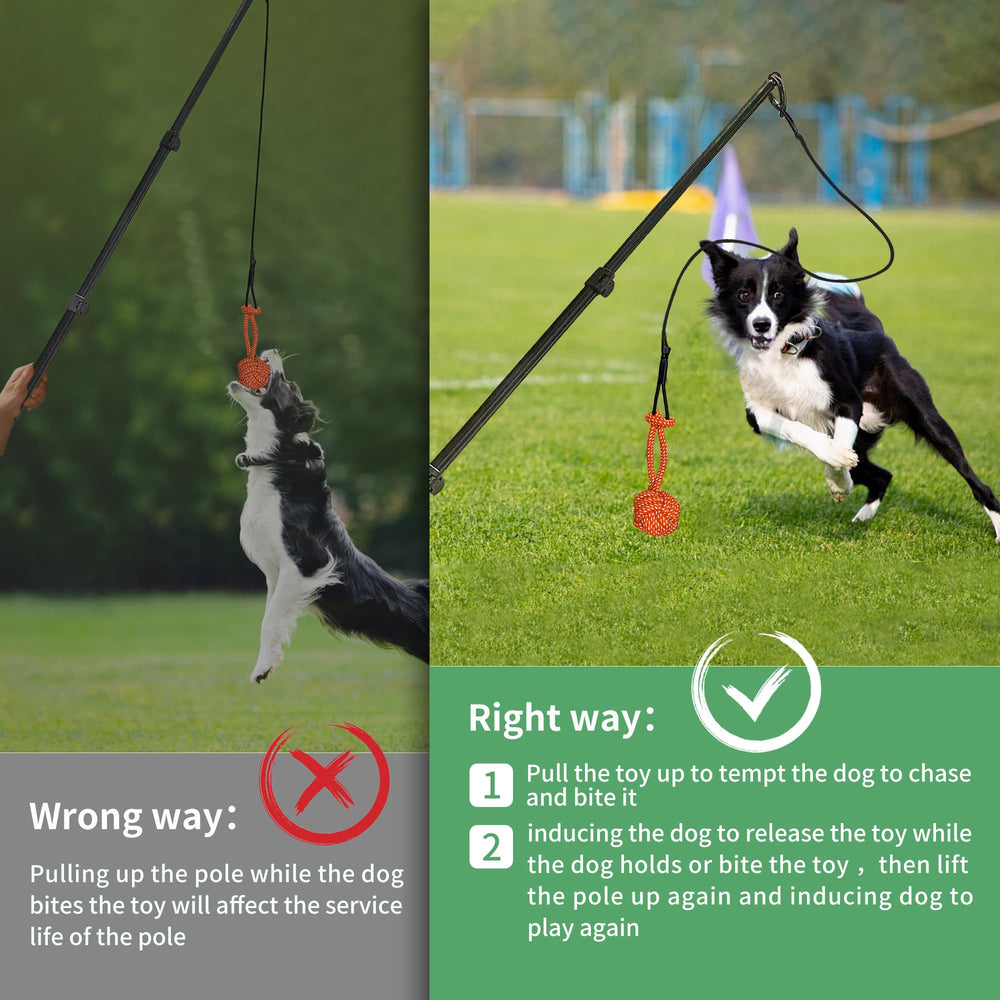 AmaCielo Flirt Pole ball toys provide varied play for dental and focus work.