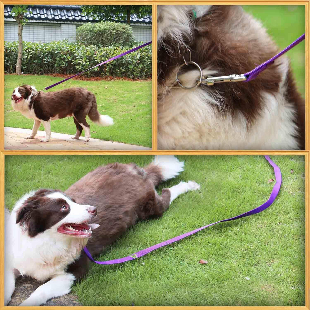 AMAGOOD 6ft dog leash machine-sewn ends indicate strong construction