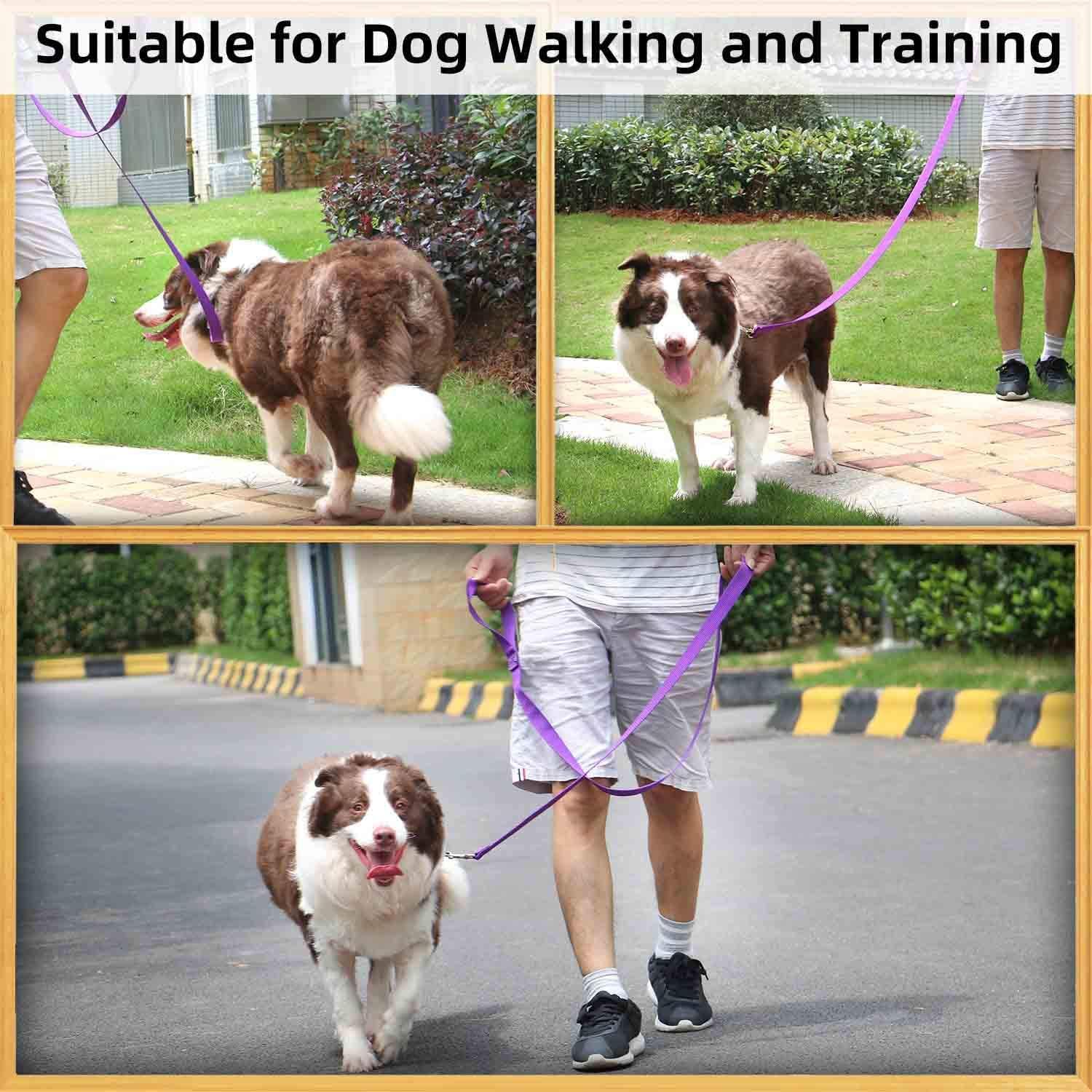 AMAGOOD 6ft dog leash purple clip close-up emphasizing visibility