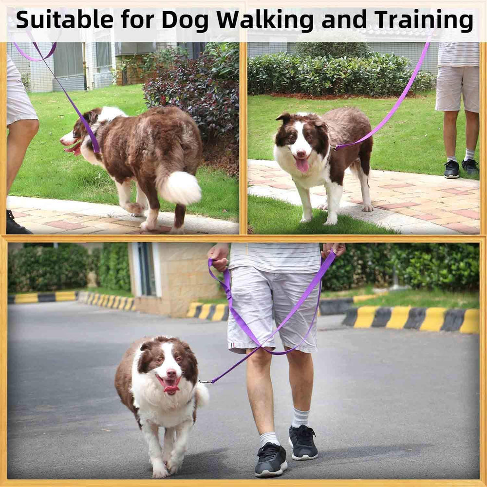 AMAGOOD 6ft dog leash purple clip close-up emphasizing visibility