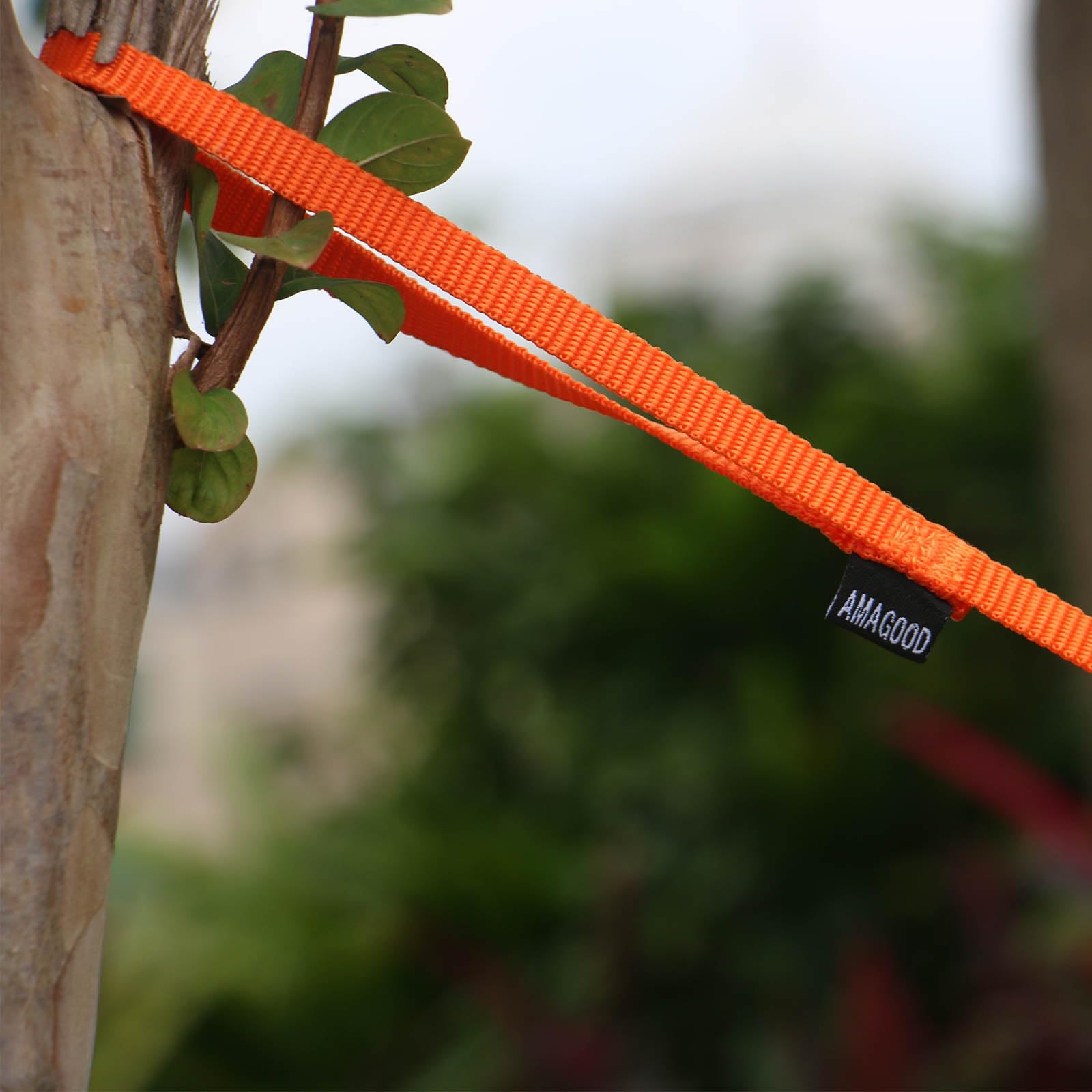 AMAGOOD cat leash 3/8 inch width is compact yet sturdy for x-small pets