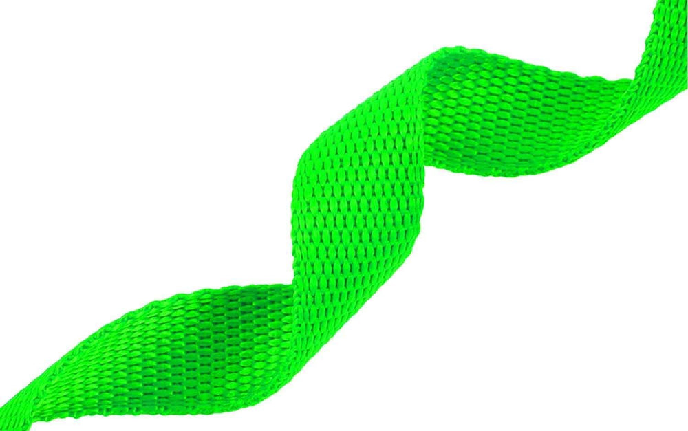 AMAGOOD green 50ft leash keeps dogs safe at the beach and camp.