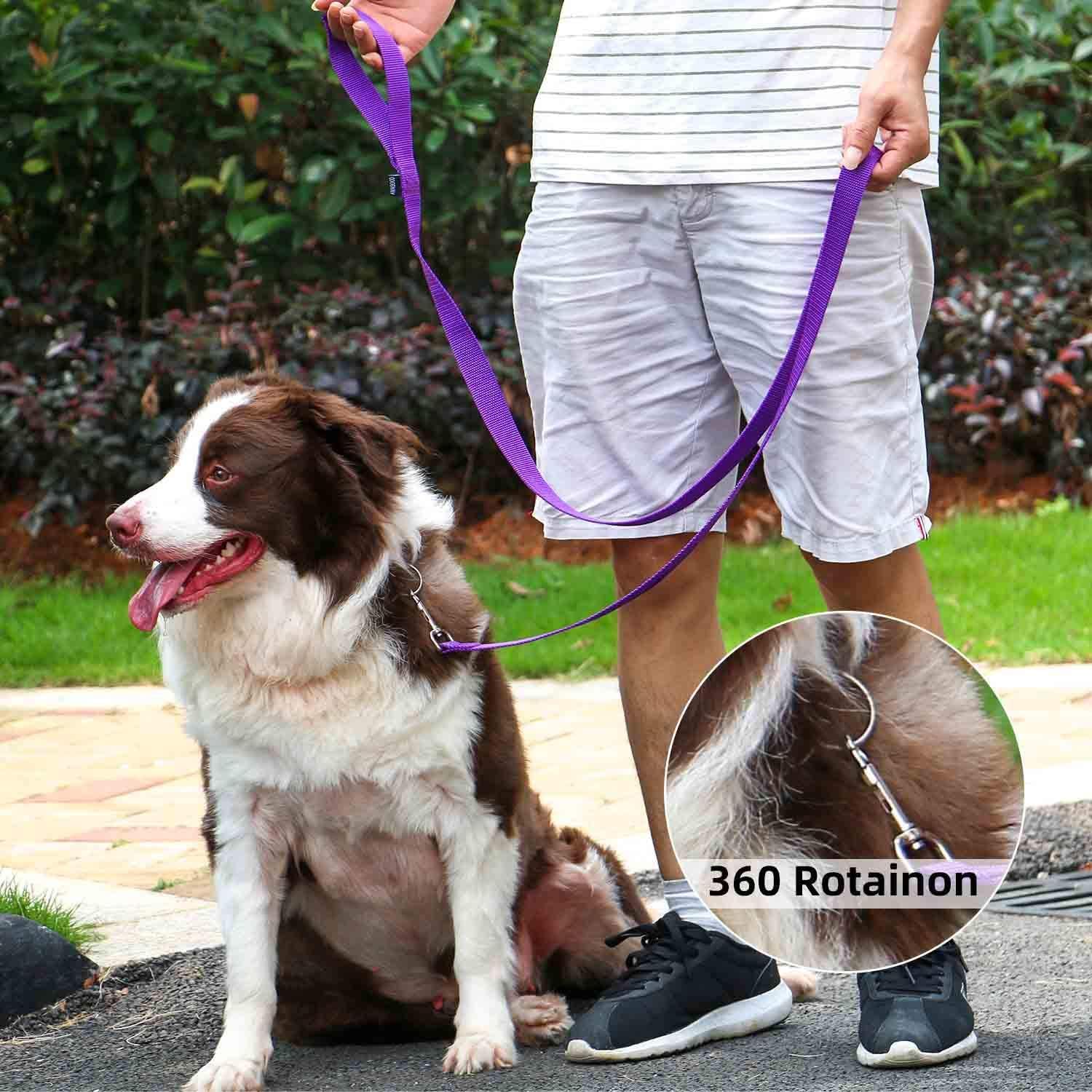 AMAGOOD easy-on/off hook enables quick secure attachment to collars.