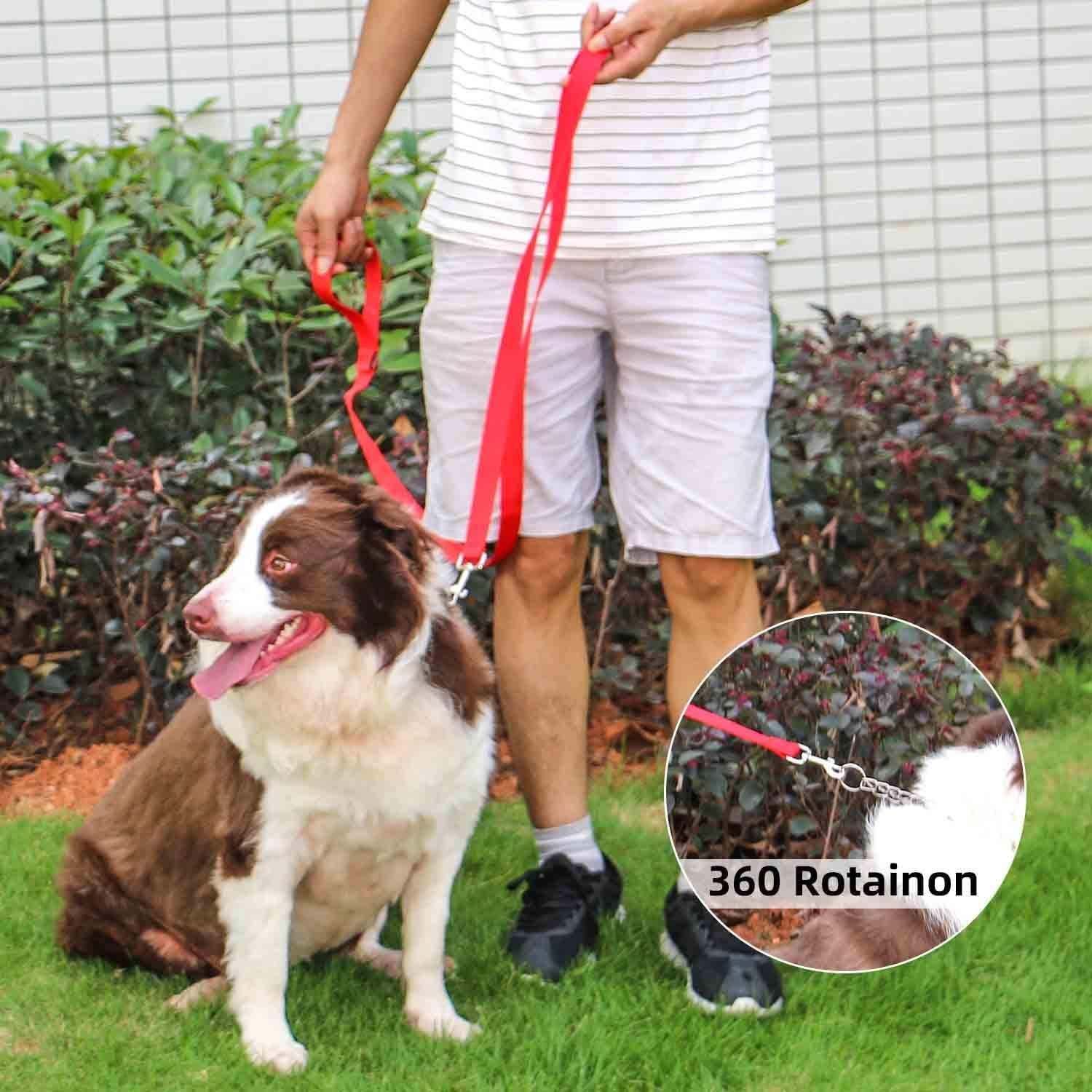 AMAGOOD leash close-up shows easy-clip collar hook for quick on/off.