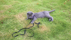 AMAGOOD leash easy-on hook demonstrates quick secure attachment to collars or harnesses