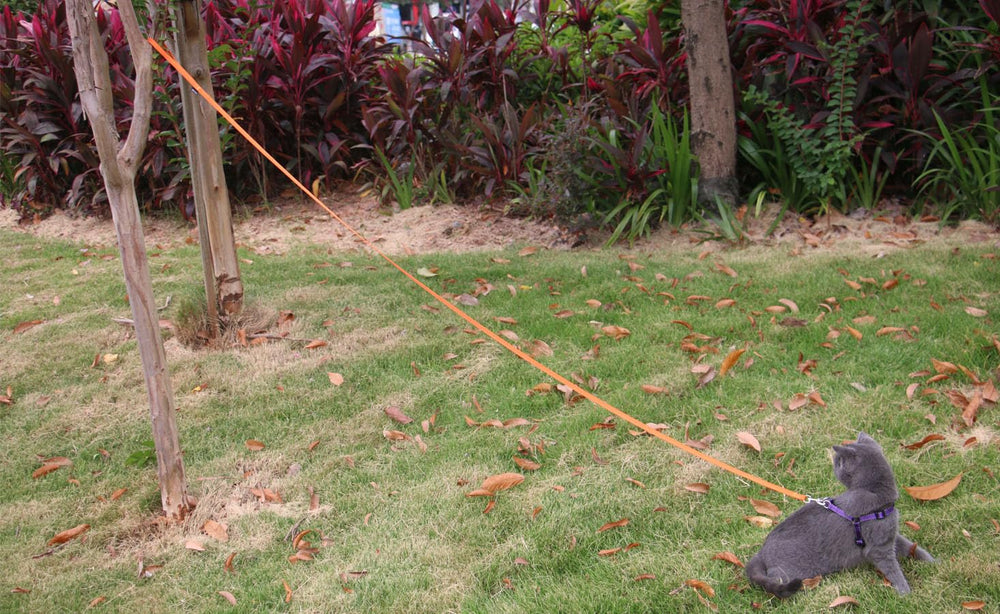 AMAGOOD leash floating capability helps it stay visible and easy to spot near water