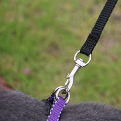 AMAGOOD leash nickel-plated clip highlights durable swiveling connection to prevent twisting