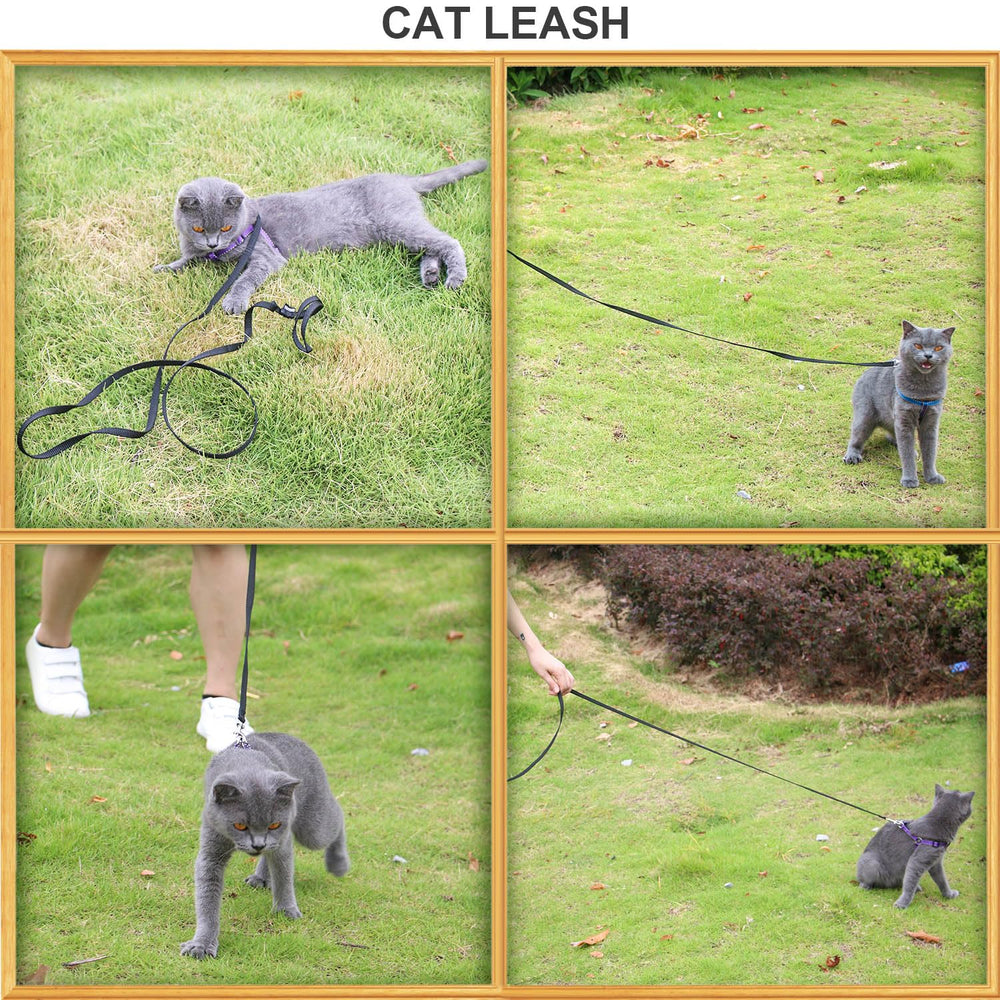 AMAGOOD leash reinforced stitching ensures long-lasting use during daily walks