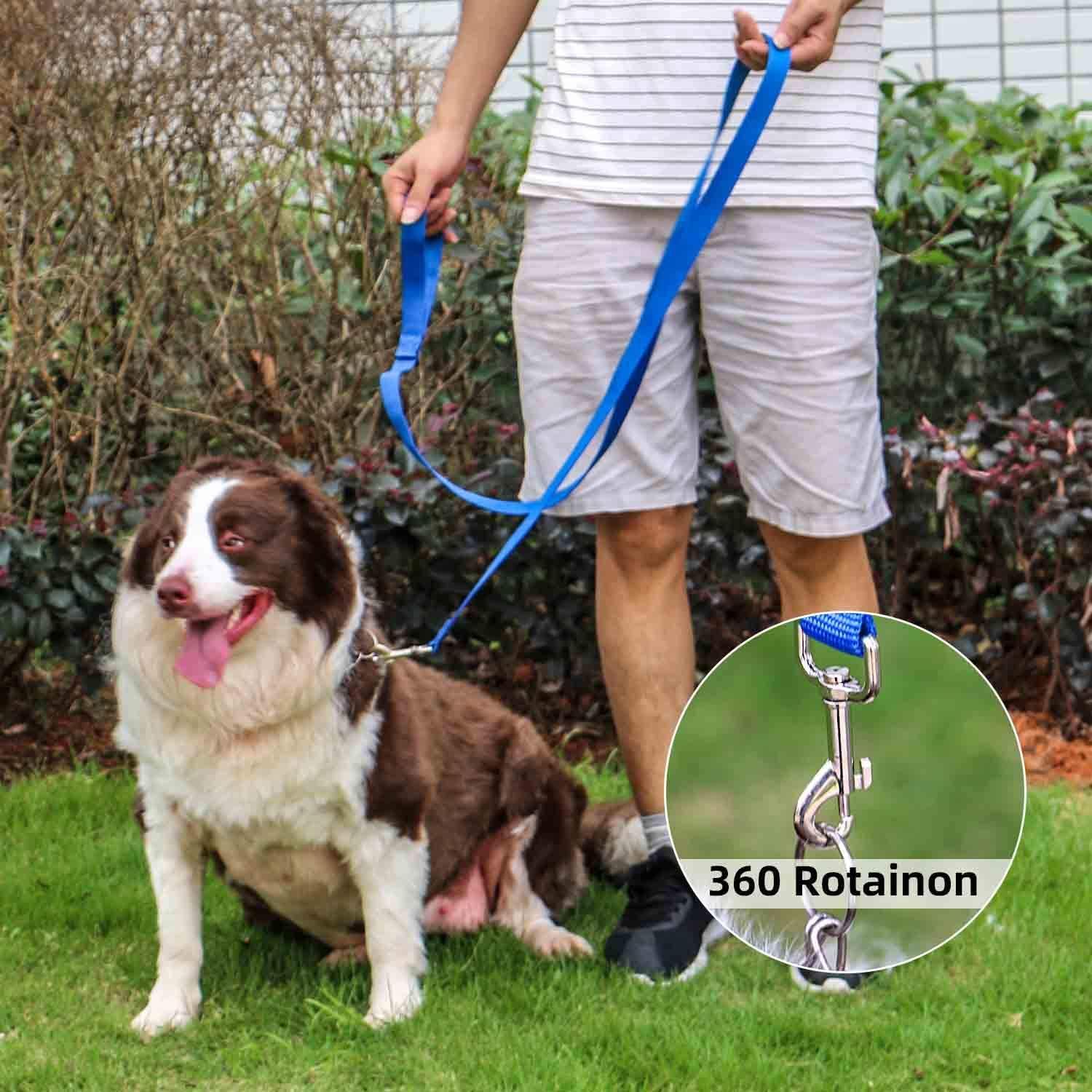 AMAGOOD leash water-friendly-material floats and stays highly visible